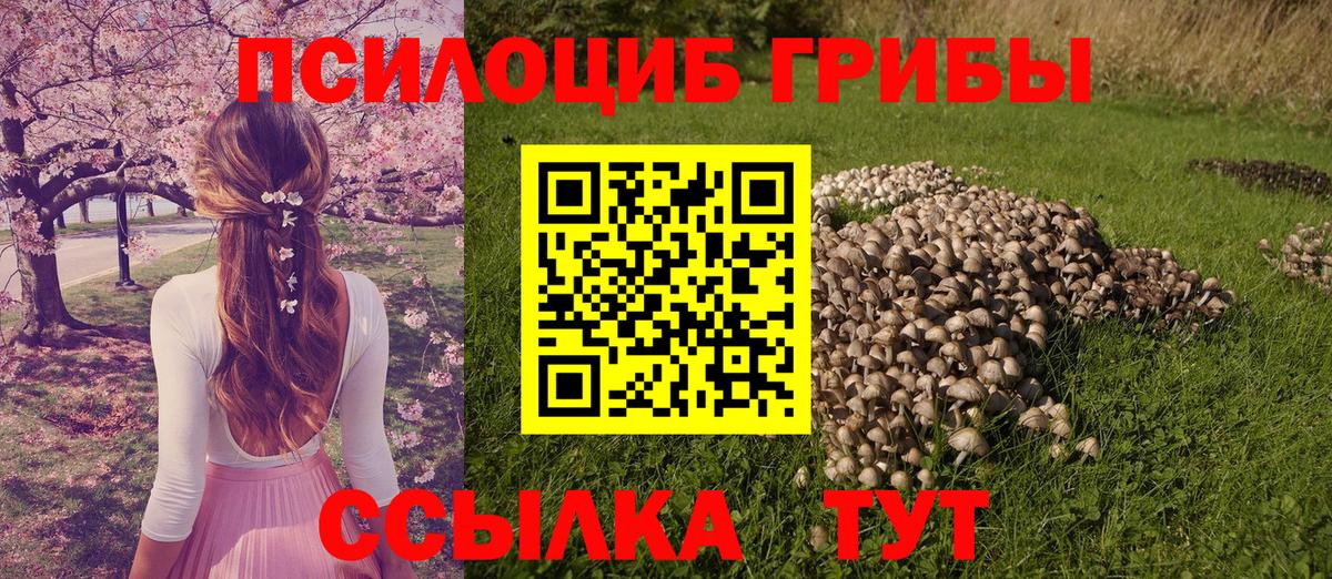 Псилоцибиновые грибы мицелий  Вход с VPN  Псилоцибиновые грибы GOLDEN TEACHER  Старая Купавна 