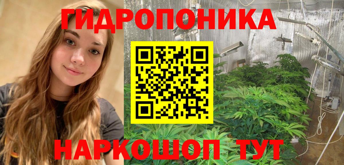 Старая Купавна  Шишки марихуана планчик  Вход с VPN  Марихуана план  Бошки Шишки сатива 